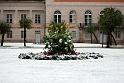 2009-10-15, Schnee (6)